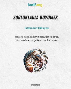 Image post by @kesiforg on Instagram