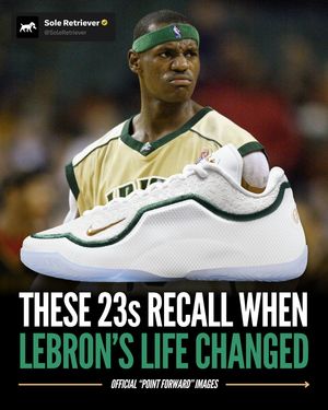 Image post by @soleretriever on Instagram