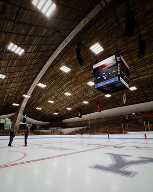 Image post by @yalewhockey on Instagram