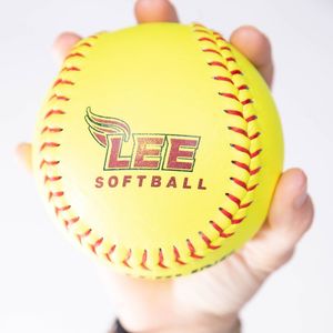Image post by @leeusoftball on Instagram