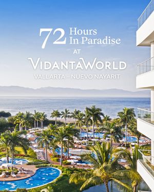 Image post by @vidantaworld on Instagram