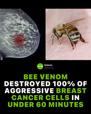 Image post by @science on Instagram