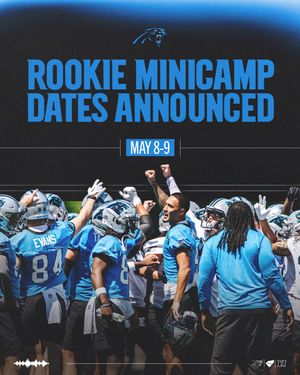 Image post by @Panthers on Twitter
