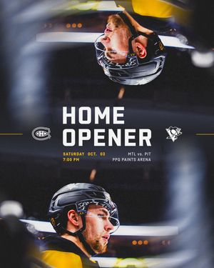 Image post by @penguins on Instagram