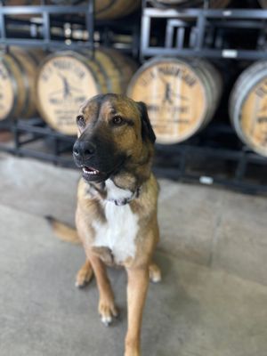 Image post by @10thmtnwhiskey on Twitter