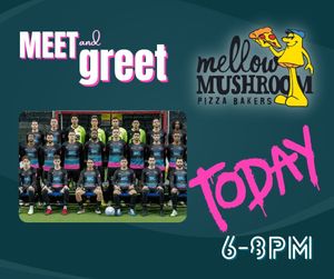 Image post by @stlouisambush on Instagram
