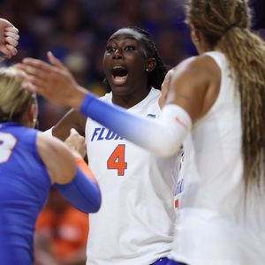 Image post by @GatorsVB on Twitter