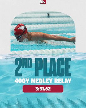 Image post by @razorbackswimdive on Instagram