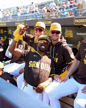 Image post by @thecactusleague on Instagram