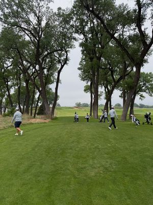 Image post by @arizonamgolf on Instagram