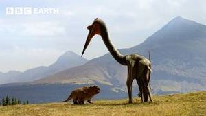 Video post by @bbcearth on YouTube