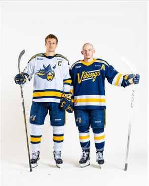 Image post by @augiemhockey on Instagram