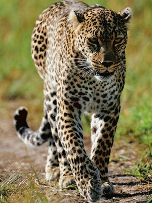 Image post by @jkh_photo on Instagram