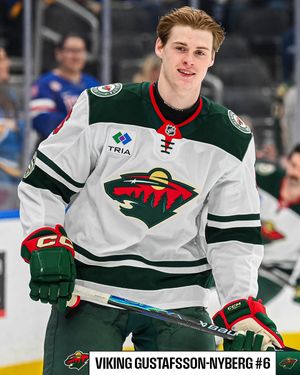 Image post by @nhl on Instagram