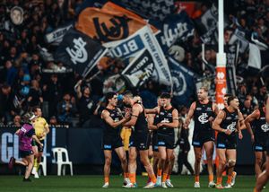 Image post by @carlton_fc on Instagram