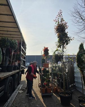 Image post by @oldenburgerwohngarten on Instagram