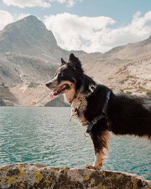 Image post by @connorpickett on Instagram
