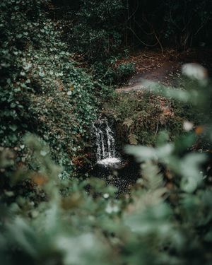 Image post by @brandonlarochelleproductions on Instagram