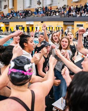 Image post by @purduewswimdive on Instagram