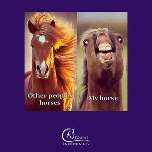 Image post by @equine_entrepreneurs_ on Instagram