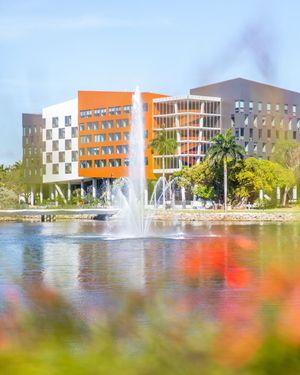 Image post by @univmiami on Instagram