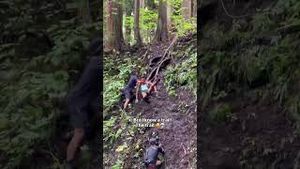 Video post by @goldentrailseries on YouTube
