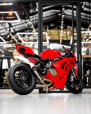 Image post by @panigalers on Instagram