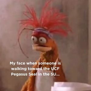 Image post by @ucf_nsfp on Instagram