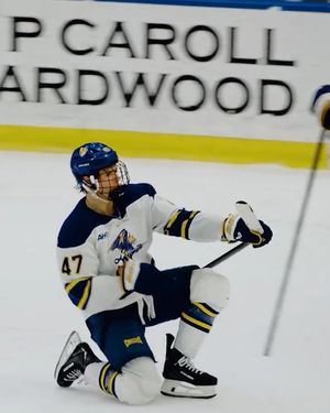 Image post by @everythingcollegehockey on Instagram