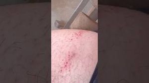 Video post by @perry_b on YouTube