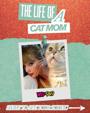 Image post by @wild949 on Instagram