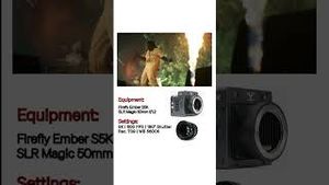 Video post by @Respective Collective on YouTube