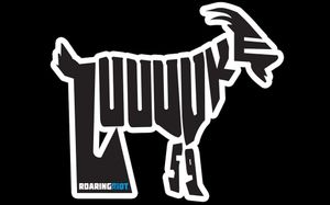 Image post by @roaringriot on Instagram