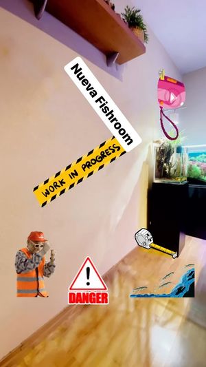 Video post by @aqualupi on Instagram