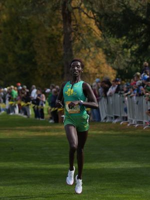 Image post by @flotrack on Instagram