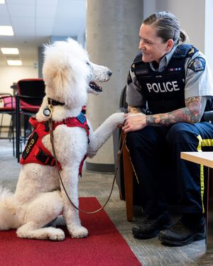 Image post by @rcmpgrcpolice on Instagram
