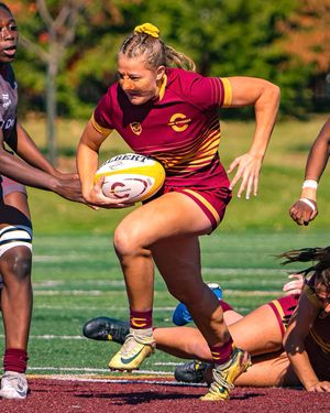 Image post by @the_stingers on Instagram