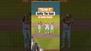 Video post by @loco.beach.coconuts on YouTube