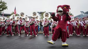Image post by @templealumni on Instagram
