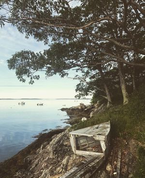 Image post by @themainemag on Instagram