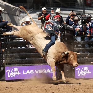 Image post by @flfreedompbr on Instagram