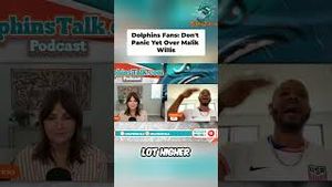 Video post by @dolphinstalk on YouTube