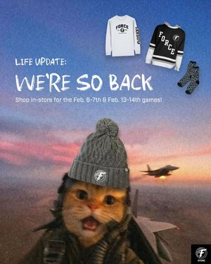 Image post by @forceteamstore on Instagram