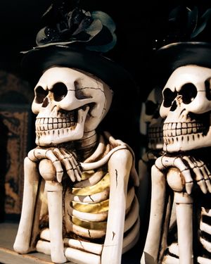 Image post by @rogersgardens on Instagram