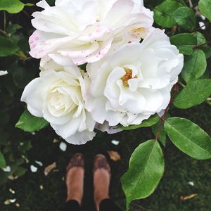 Image post by @kirstenalana on Instagram