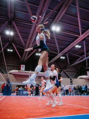 Image post by @wyldfilm on Instagram