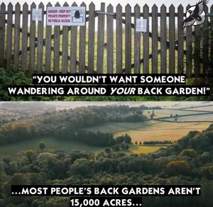 Image post by @green.anarchist on Instagram