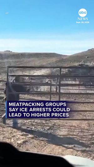 Video post by @abcnewslive on TikTok