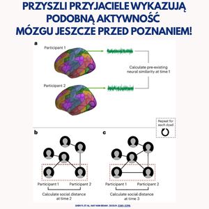Image post by @neurochirurg_litak on Instagram