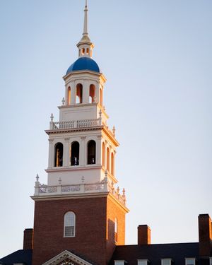 Image post by @harvard on Instagram